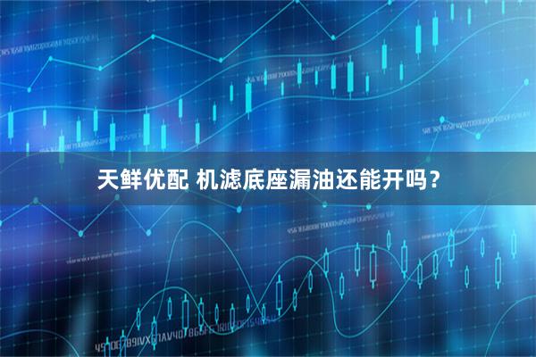 天鲜优配 机滤底座漏油还能开吗？