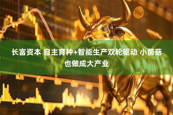 长富资本 自主育种+智能生产双轮驱动 小菌菇也做成大产业