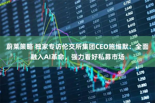 蔚莱策略 独家专访伦交所集团CEO施维默：全面融入AI革命，强力看好私募市场